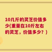 10几斤的灵芝价值多少(重量在10斤左右的灵芝，价值多少？)