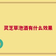 灵芝草泡酒有什么效果