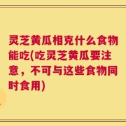 灵芝黄瓜相克什么食物能吃(吃灵芝黄瓜要注意，不可与这些食物同时食用)