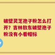破壁灵芝孢子粉怎么打开？吉林敖东破壁孢子粉没有小看帽标