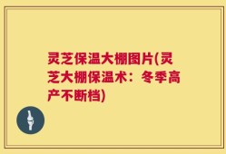 灵芝保温大棚图片(灵芝大棚保温术：冬季高产不断档)