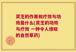 灵芝的作用和疗效与功效是什么(灵芝的功效与疗效 一种令人惊叹的自然草药)