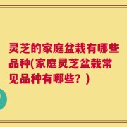 灵芝的家庭盆栽有哪些品种(家庭灵芝盆栽常见品种有哪些？)