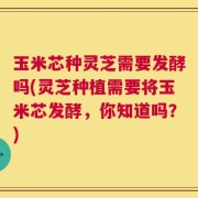 玉米芯种灵芝需要发酵吗(灵芝种植需要将玉米芯发酵，你知道吗？)