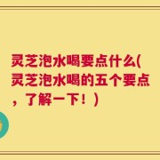 灵芝泡水喝要点什么(灵芝泡水喝的五个要点，了解一下！)