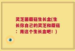 灵芝菌蘑菇生长盒(生长你自己的灵芝和蘑菇：用这个生长盒吧！)