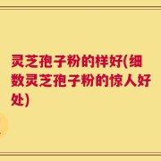 灵芝孢子粉的样好(细数灵芝孢子粉的惊人好处)