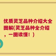 优质灵芝品种介绍大全图解(灵芝品种全介绍，一图读懂！)