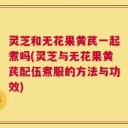 灵芝和无花果黄芪一起煮吗(灵芝与无花果黄芪配伍煮服的方法与功效)