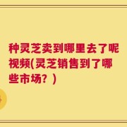 种灵芝卖到哪里去了呢视频(灵芝销售到了哪些市场？)