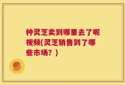 种灵芝卖到哪里去了呢视频(灵芝销售到了哪些市场？)