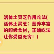 活体土灵芝作用吃法(活体土灵芝：营养丰富的超级食材，正确吃法让你受益无穷！)
