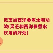 灵芝加西洋参煮水喝功效(灵芝和西洋参煮水饮用的好处)