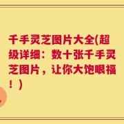 千手灵芝图片大全(超级详细：数十张千手灵芝图片，让你大饱眼福！)