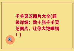 千手灵芝图片大全(超级详细：数十张千手灵芝图片，让你大饱眼福！)