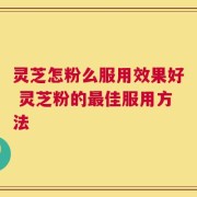 灵芝怎粉么服用效果好 灵芝粉的最佳服用方法