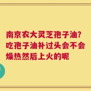 南京农大灵芝孢子油？吃孢子油补过头会不会燥热然后上火的呢