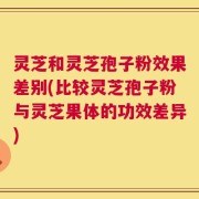 灵芝和灵芝孢子粉效果差别(比较灵芝孢子粉与灵芝果体的功效差异)