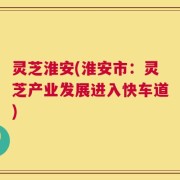 灵芝淮安(淮安市：灵芝产业发展进入快车道)