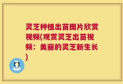 灵芝种植出苗图片欣赏视频(观赏灵芝出苗视频：美丽的灵芝新生长)