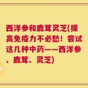 西洋参和鹿茸灵芝(提高免疫力不必愁！尝试这几种中药——西洋参、鹿茸、灵芝)