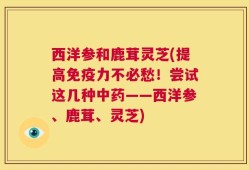 西洋参和鹿茸灵芝(提高免疫力不必愁！尝试这几种中药——西洋参、鹿茸、灵芝)