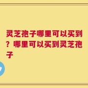 灵芝孢子哪里可以买到？哪里可以买到灵芝孢子