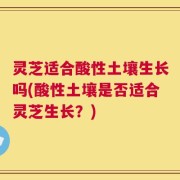 灵芝适合酸性土壤生长吗(酸性土壤是否适合灵芝生长？)