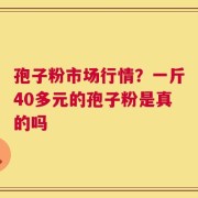 孢子粉市场行情？一斤40多元的孢子粉是真的吗