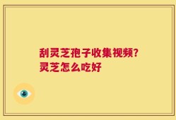 刮灵芝孢子收集视频？灵芝怎么吃好