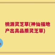 桃源灵芝草(神仙福地产出高品质灵芝草)