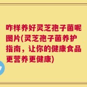 咋样养好灵芝孢子菌呢图片(灵芝孢子菌养护指南，让你的健康食品更营养更健康)