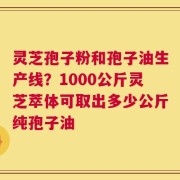 灵芝孢子粉和孢子油生产线？1000公斤灵芝萃体可取出多少公斤纯孢子油