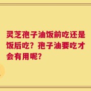 灵芝孢子油饭前吃还是饭后吃？孢子油要吃才会有用呢？