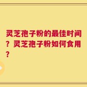 灵芝孢子粉的最佳时间？灵芝孢子粉如何食用？