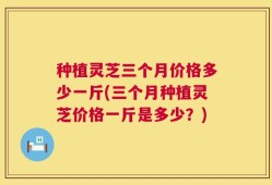 种植灵芝三个月价格多少一斤(三个月种植灵芝价格一斤是多少？)