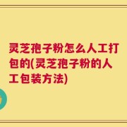 灵芝孢子粉怎么人工打包的(灵芝孢子粉的人工包装方法)
