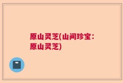 原山灵芝(山间珍宝：原山灵芝)