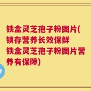 铁盒灵芝孢子粉图片(锁存营养长效保鲜  铁盒灵芝孢子粉图片营养有保障)