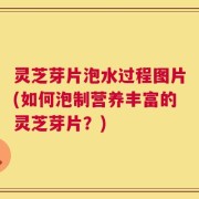 灵芝芽片泡水过程图片(如何泡制营养丰富的灵芝芽片？)