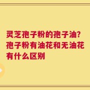 灵芝孢子粉的孢子油？孢子粉有油花和无油花有什么区别