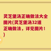 灵芝堡汤正确做法大全图片(灵芝堡汤32道正确做法，详见图片！)