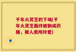 千年火灵芝的下场(千年火灵芝最终被制成药膳，被人类所珍爱)