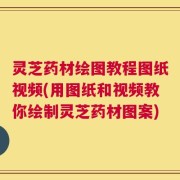 灵芝药材绘图教程图纸视频(用图纸和视频教你绘制灵芝药材图案)
