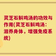 灵芝石斛鸡汤的功效与作用(灵芝石斛鸡汤：滋养身体，增强免疫系统)