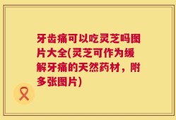 牙齿痛可以吃灵芝吗图片大全(灵芝可作为缓解牙痛的天然药材，附多张图片)
