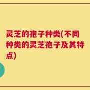 灵芝的孢子种类(不同种类的灵芝孢子及其特点)