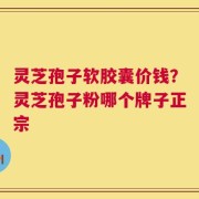 灵芝孢子软胶囊价钱？灵芝孢子粉哪个牌子正宗