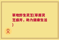 草地野生灵芝(草原灵芝盛开，助力健康生活)