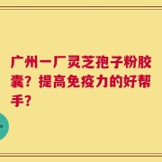 广州一厂灵芝孢子粉胶囊？提高免疫力的好帮手？